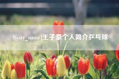 嘉善王子豪个人简介乒乓球