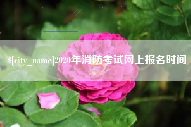 嘉善2020年消防考试网上报名时间