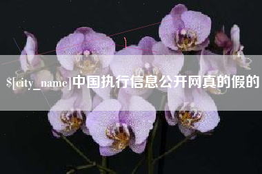 嘉善中国执行信息公开网真的假的
