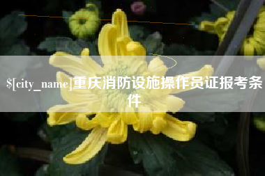 嘉善重庆消防设施操作员证报考条件