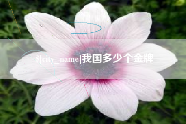 嘉善我国多少个金牌