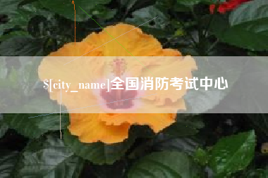 嘉善全国消防考试中心