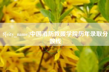 嘉善中国消防救援学院历年录取分数线