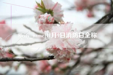 嘉善11月9日消防日全称