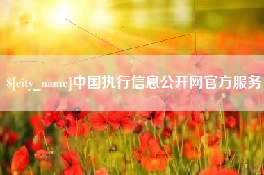 嘉善中国执行信息公开网官方服务