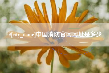 嘉善中国消防官网网址是多少