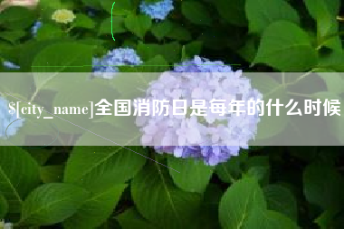 嘉善全国消防日是每年的什么时候