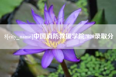 嘉善中国消防救援学院2020录取分