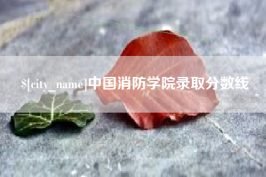 嘉善中国消防学院录取分数线