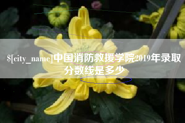 嘉善中国消防救援学院2019年录取分数线是多少