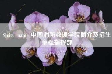 嘉善中国消防救援学院简介及招生章程指挥部