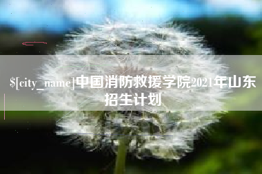 嘉善中国消防救援学院2021年山东招生计划