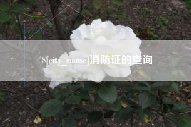 嘉善消防证的查询