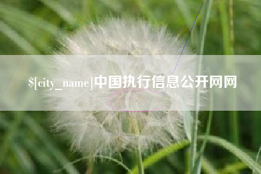 嘉善中国执行信息公开网网