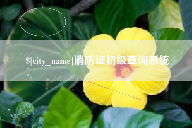 嘉善消防证初级查询系统