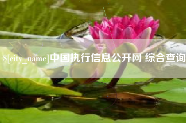 嘉善中国执行信息公开网 综合查询
