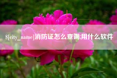 嘉善消防证怎么查询,用什么软件