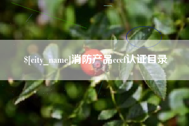 嘉善消防产品cccf认证目录