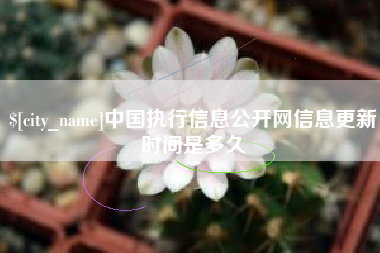 嘉善中国执行信息公开网信息更新时间是多久