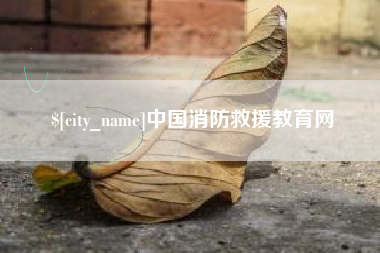 嘉善中国消防救援教育网
