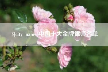 嘉善中国十大金牌律师名单