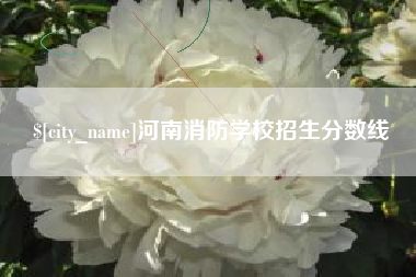 嘉善河南消防学校招生分数线