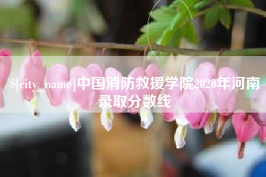 嘉善中国消防救援学院2020年河南录取分数线