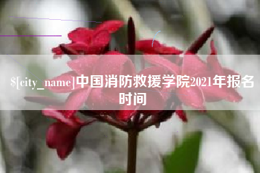 嘉善中国消防救援学院2021年报名时间