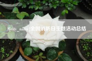 嘉善全国消防日主题活动总结