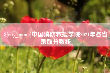 嘉善中国消防救援学院2021年各省录取分数线