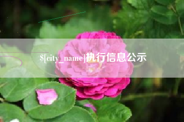 嘉善执行信息公示