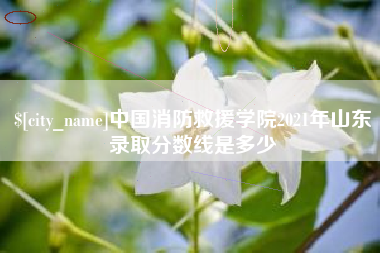 嘉善中国消防救援学院2021年山东录取分数线是多少