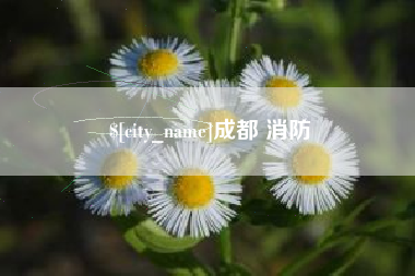 嘉善成都 消防