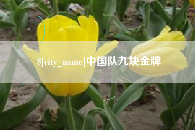嘉善中国队九块金牌