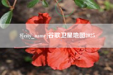 嘉善谷歌卫星地图2025