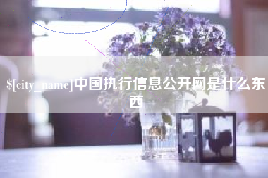 嘉善中国执行信息公开网是什么东西