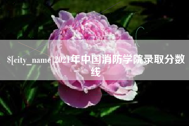 嘉善2021年中国消防学院录取分数线