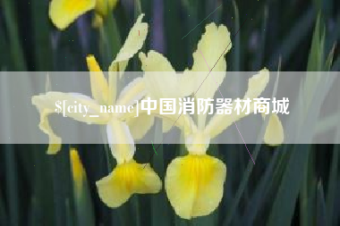 嘉善中国消防器材商城
