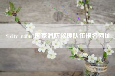 嘉善国家消防救援队伍报名网址
