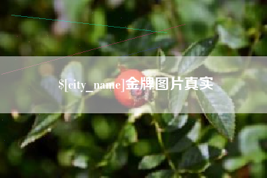 嘉善金牌图片真实