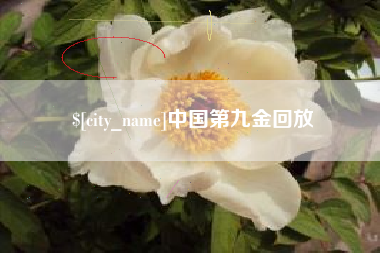 嘉善中国第九金回放