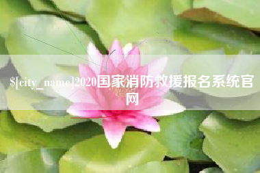 嘉善2020国家消防救援报名系统官网