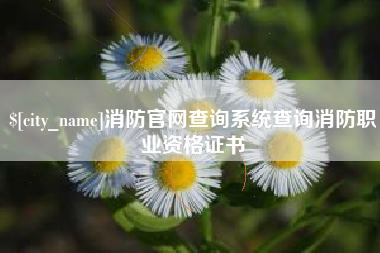 嘉善消防官网查询系统查询消防职业资格证书