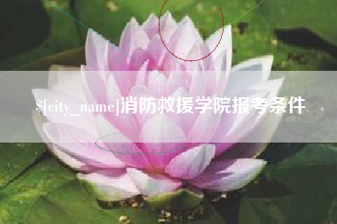 嘉善消防救援学院报考条件