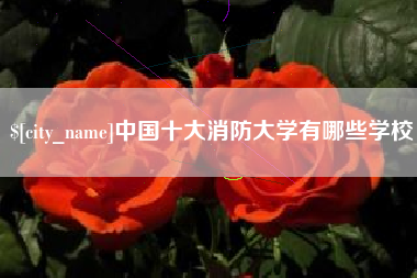 嘉善中国十大消防大学有哪些学校