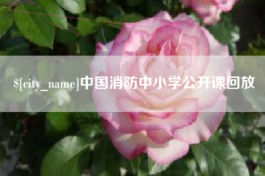 嘉善中国消防中小学公开课回放