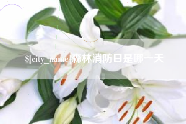 嘉善森林消防日是哪一天