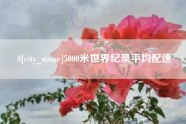 嘉善5000米世界纪录平均配速