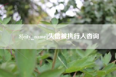 嘉善失信被执行人杳询