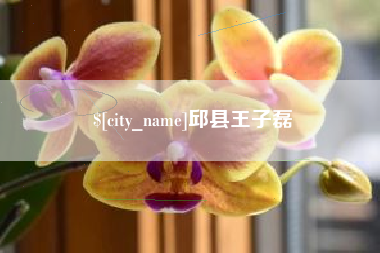 嘉善邱县王子磊